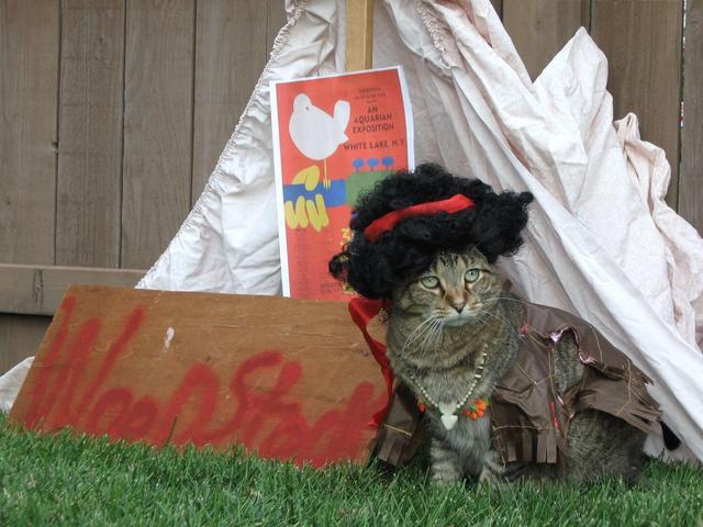 Diverse - hippiecampingatwoodstock091018201439.JPG